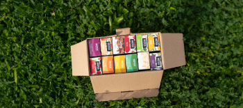 מארז 12 טעמים לבחירה