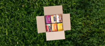 מארז 8 טעמים לבחירה