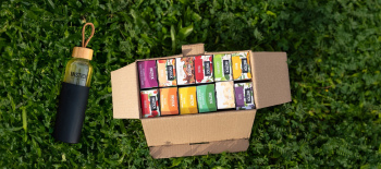 מארז 12 טעמים לבחירה כולל בקבוק זכוכית Instick שחור 500 מ״ל